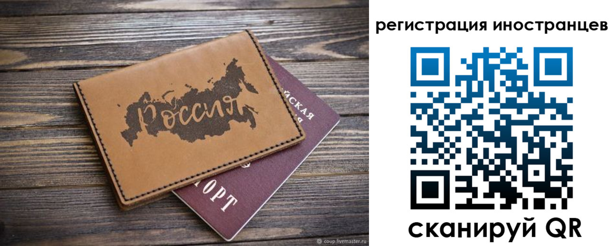 прописка поиск в Мурманске